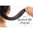 POSTICHE /QUEUE DE CHEVAL